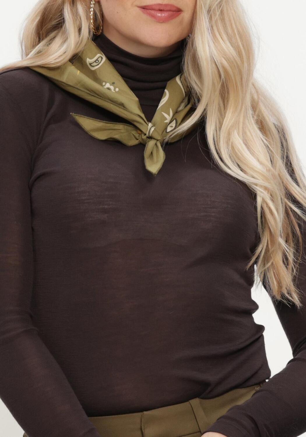 GESTUZ Dames Truien & Vesten Gzninia Wool Rollneck Bruin
