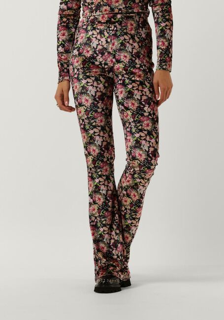 Paarse COLOURFUL REBEL Flared broek JOLIE FLOWER VELVET FLARE PANTS - large