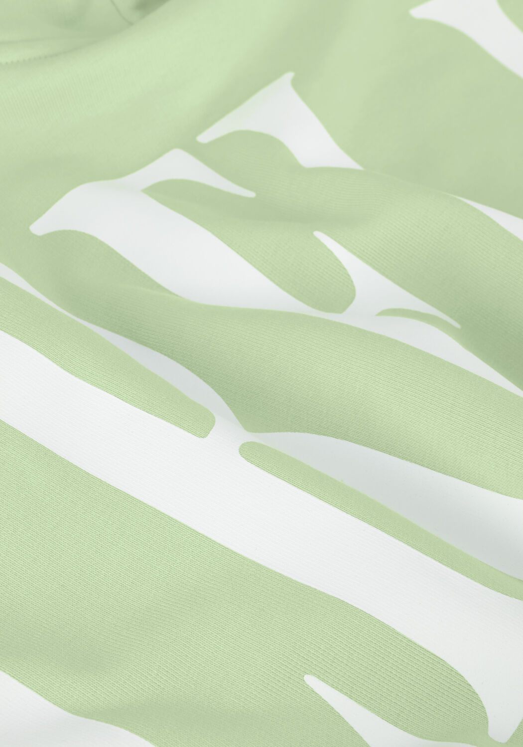 Mint COLOURFUL REBEL Trui CR BACK LOGO DROPPED SHOULDER HOODIE - large