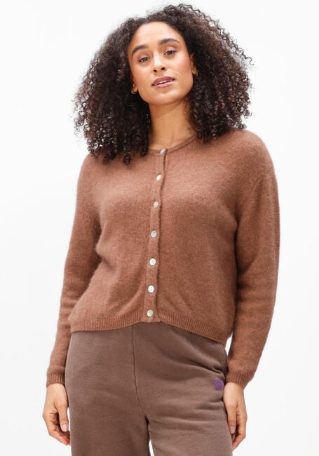 Bruine AMERICAN VINTAGE Trui VITOW - large