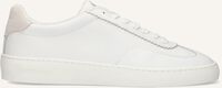 Witte SCOTCH & SODA Lage sneakers PLAKKA - medium
