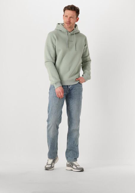 Groene PURE PATH Trui REGULAR FIT HOODIE LS SWEATERS - large