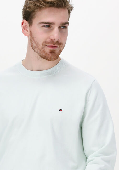 Mint TOMMY HILFIGER Trui TIPPED PIMA CTN MOULINE C-NK - large