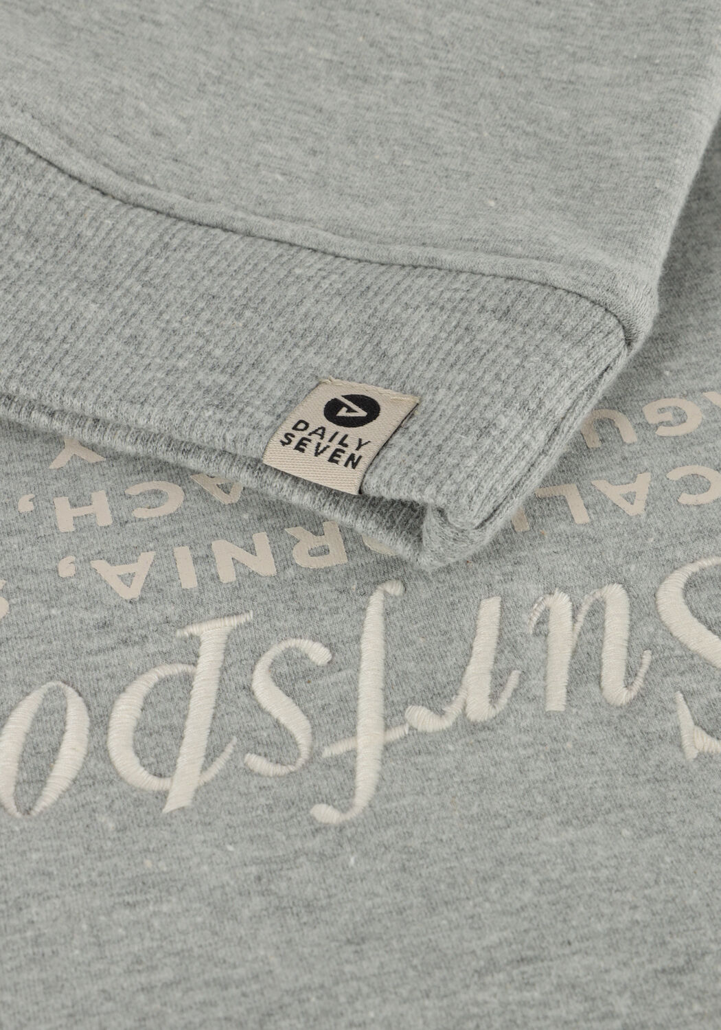 DAILY7 Jongens Truien & Vesten Sweater Textprint Grijs