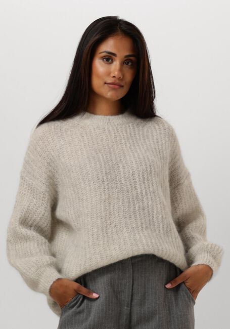 Grijze DES PETITS HAUTS Trui BURMA - large