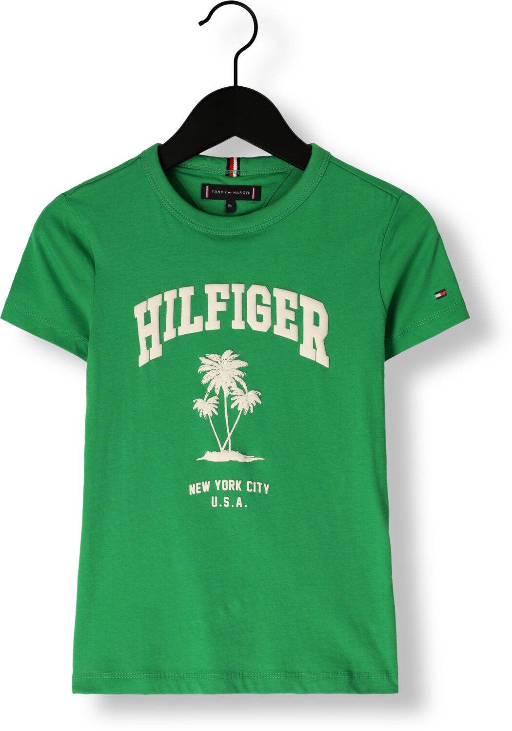 TOMMY HILFIGER Jongens Polo's & T-shirts Hilfiger Palm Print Tee Ss Groen