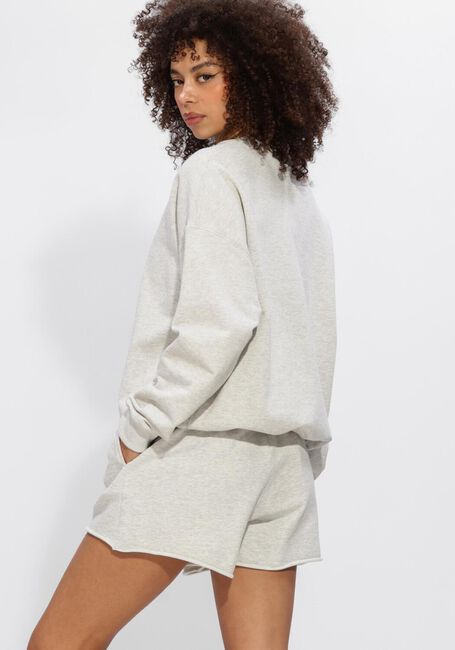 Lichtgrijze ELEH Truien/vesten SS260187 - large