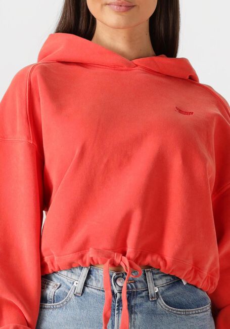 Rode TOMMY JEANS Sweater TJW CRP GMD SCRIPT HOODIE - large