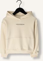 Zand DAILY7 Truien/vesten HOODIE BACKPRINT ADVENTURES Zand DAILY7 Truien/vesten HOODIE BACKPRINT ADVENTURES - medium