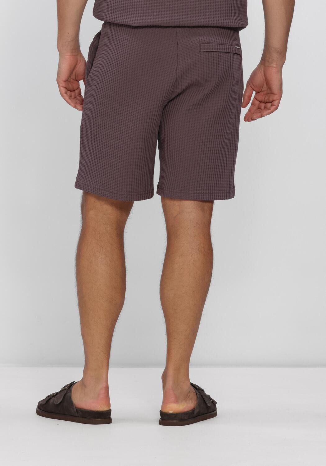 Paarse DSTREZZED Korte broek LOGAN WAFFLE SWEATSHORT - large