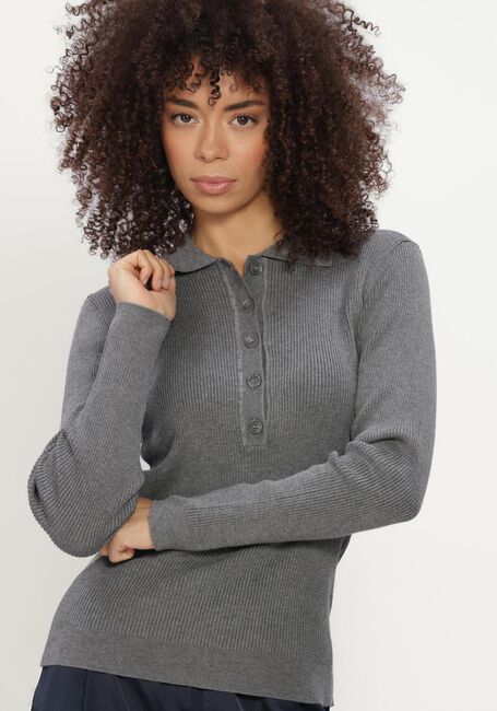 Grijze BRUUNS BAZAAR Coltrui ANEMONEBBVALEA KNIT POLO - large