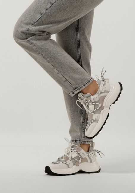 Witte STEVE MADDEN Lage sneakers TAZMANIA Witte STEVE MADDEN Lage sneakers TAZMANIA - large