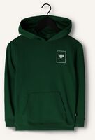 Donkergroene VANS Trui BY PRINT BOX PACK PO BOYS EDEN Donkergroene VANS Trui BY PRINT BOX PACK PO BOYS EDEN - medium