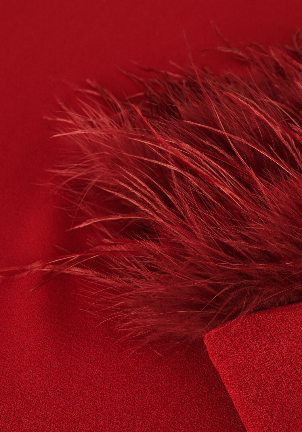 Rode ANA ALCAZAR Mini jurk DRESS FEATHERS - large