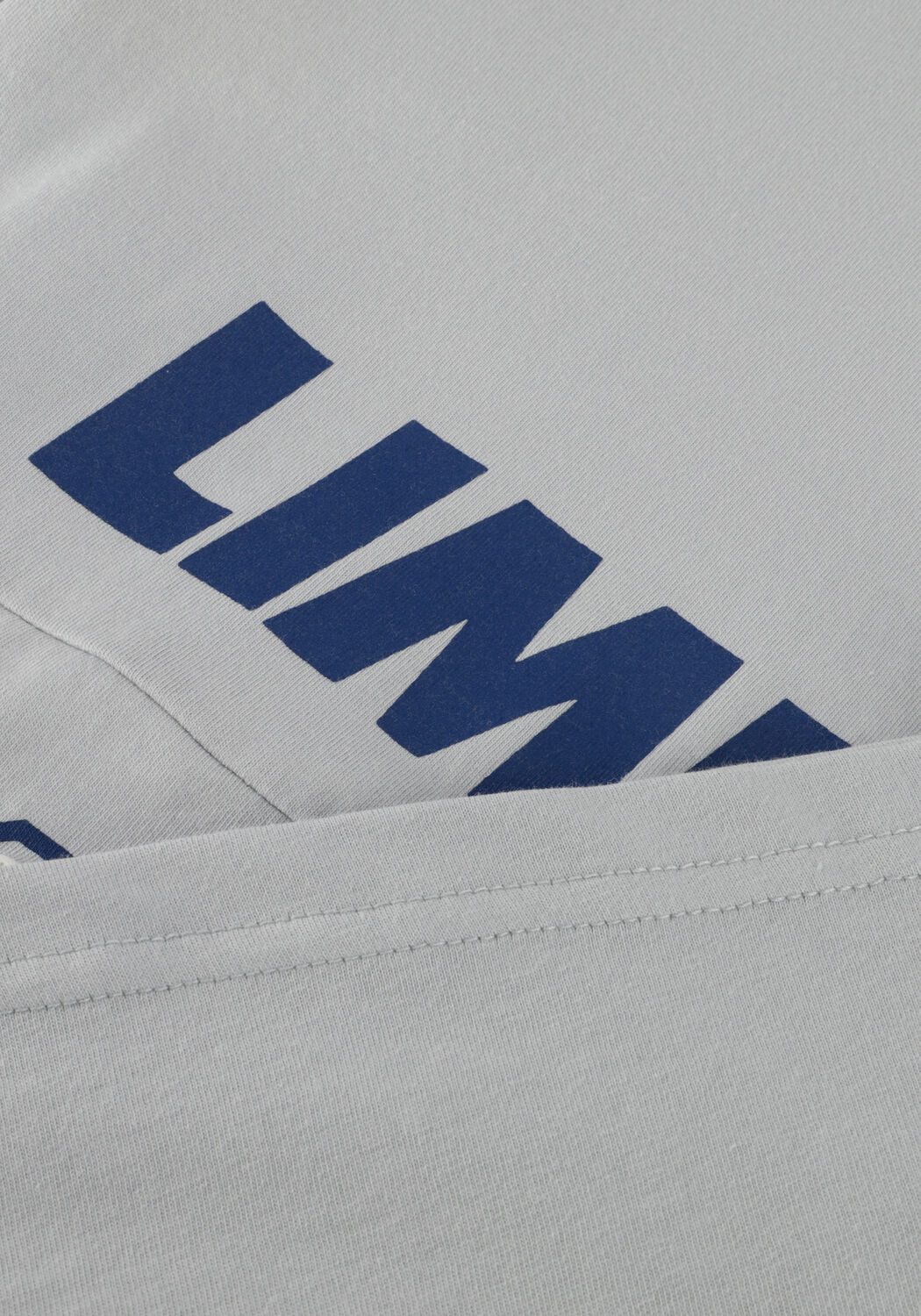 Lichtgrijze RAIZZED Top HIMITED - large