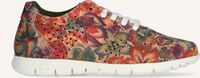 Multi SLOWWALK Lage sneakers MORVI - medium