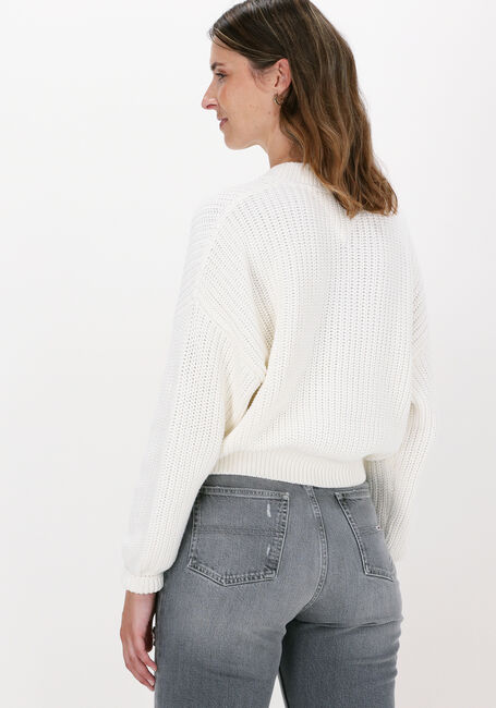 Witte TOMMY JEANS Trui TJW CENTER FLAG SWEATER - large
