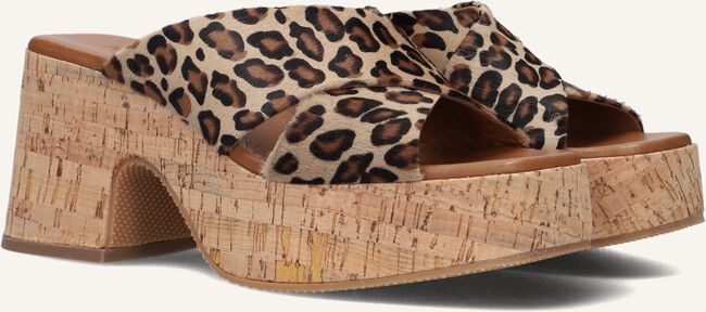 Bruine NOTRE-V Muiltjes 989001 Bruine NOTRE-V Muiltjes 989001 - large