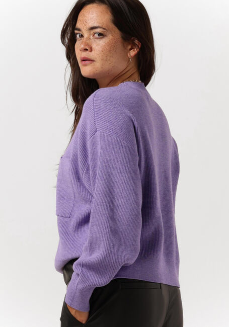 Paarse MSCH COPENHAGEN Trui DAROSE JILI O NECK PULLOVER - large