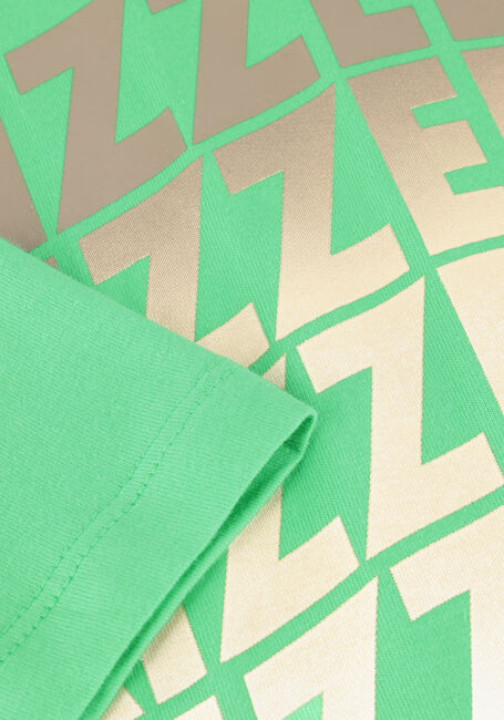 Groene RAIZZED T-shirt HAW - large