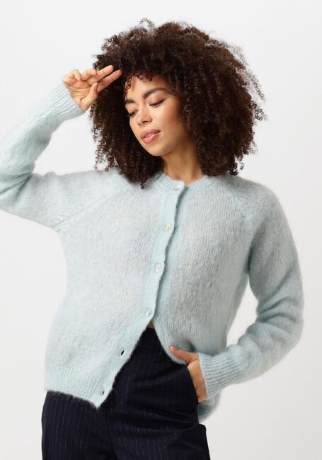 Blauwe NUKUS Vest LOREN CARDIGAN - large
