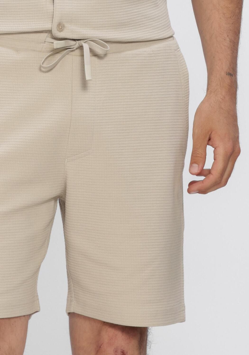 Beige CHASIN Korte broek 23110006_STONE.S STRUCTURE - large
