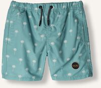 Blauwe SHIWI Zwembroeken SWIMSHORT SCRATCHED SHIWI PALM Blauwe SHIWI Zwembroeken SWIMSHORT SCRATCHED SHIWI PALM - medium