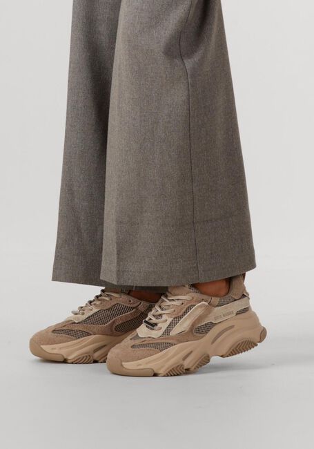 Taupe STEVE MADDEN Lage sneakers JPOSSESSION - large