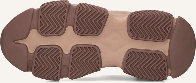 Bruine STEVE MADDEN Lage sneakers PROGRESSIVE Bruine STEVE MADDEN Lage sneakers PROGRESSIVE - large