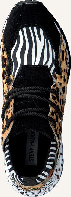 Zwarte STEVE MADDEN Lage sneakers CLIFF SNEAKER Zwarte STEVE MADDEN Lage sneakers CLIFF SNEAKER - large