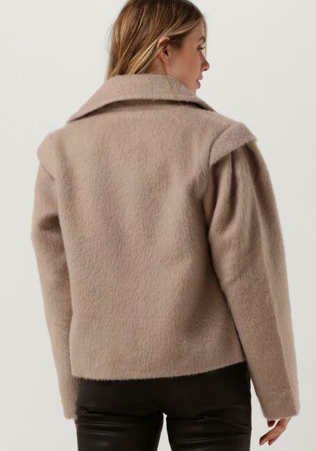 Camel IBANA Jack CALLETTA - large