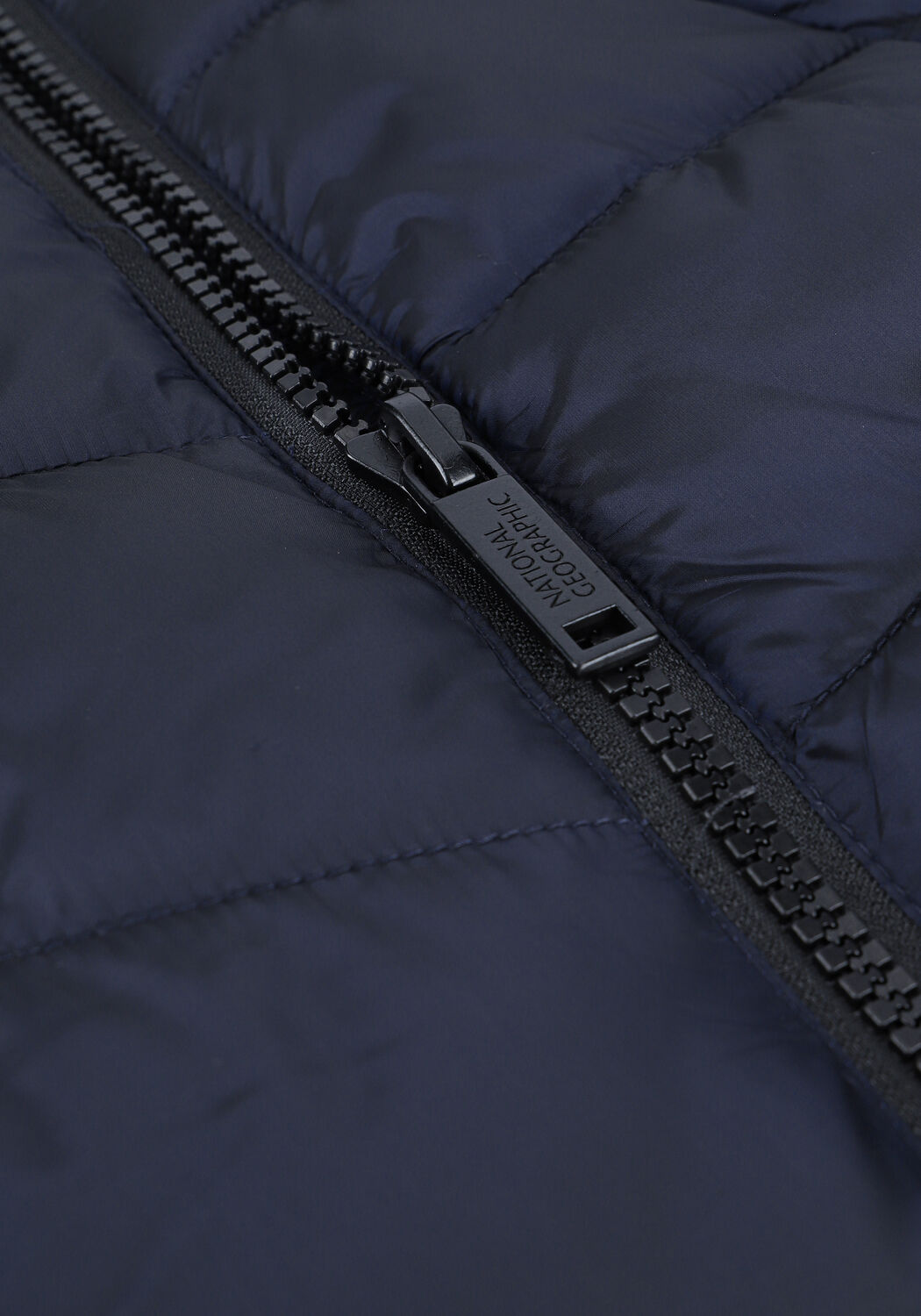 Donkerblauwe NATIONAL GEOGRAPHIC Gewatteerde jas RE DEVELOPED - large