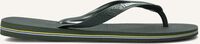 Groene HAVAIANAS Teenslippers BRASIL LOGO - medium