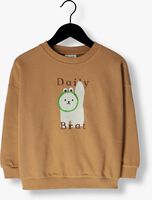 Beige DAILY BRAT Sweater COSY CAT SWEATER LEAFY BROWN - medium