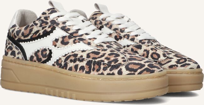 NOTRE-V ANEMONE-63 NOTRE-V ANEMONE-63 - large