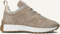 Beige MARUTI Lage sneakers KIAN - medium