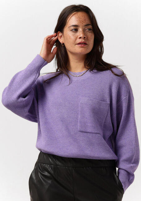 Paarse MSCH COPENHAGEN Trui DAROSE JILI O NECK PULLOVER - large