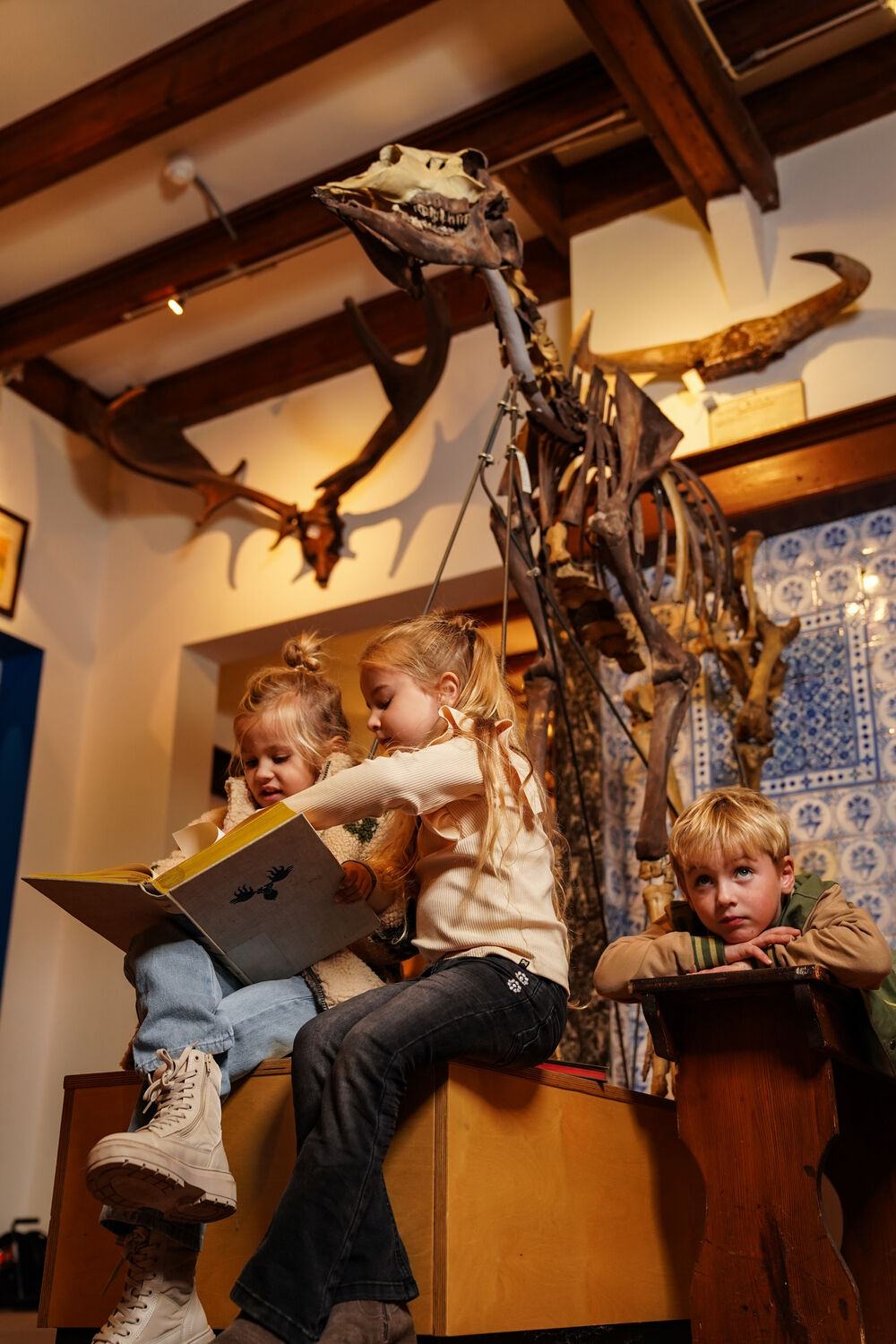 Zwarte KOKO NOKO Flared jeans O56929 - large