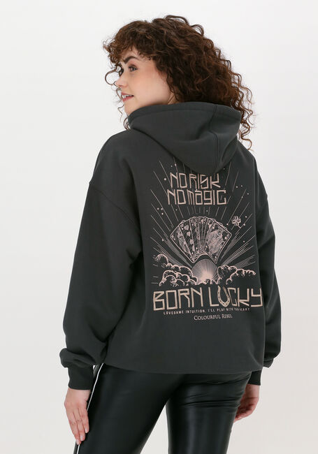 Grijze COLOURFUL REBEL Sweater BORN LUCKY EMBRO OVERSIZED HOO - large