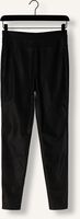 KNIT-TED AMBER PANT KNIT-TED AMBER PANT - medium