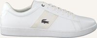 Witte LACOSTE Lage sneakers CARNABY EVO HEREN - medium