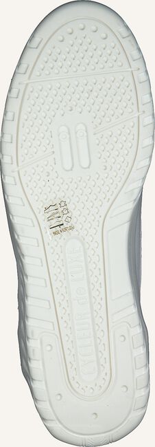 Witte CYCLEUR DE LUXE Lage sneakers URBINO Witte CYCLEUR DE LUXE Lage sneakers URBINO - large