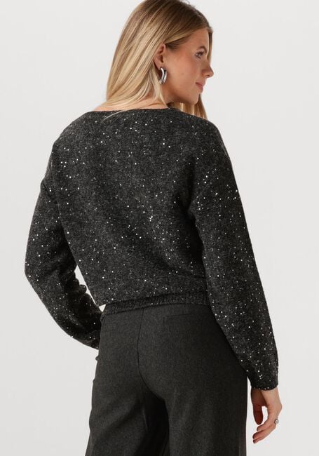Donkergrijze JANSEN AMSTERDAM Trui ANOUK TRUI HK 151 ROUND NECKLINE - large