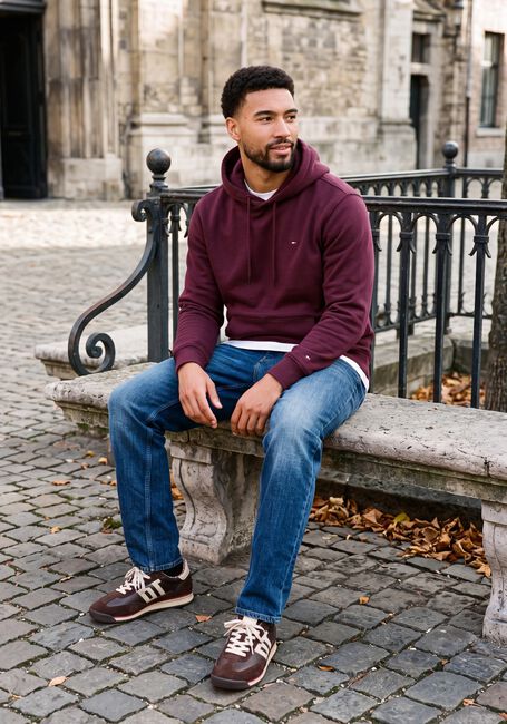 Bordeaux TOMMY JEANS Sweater TJM REG S FLAG HOODIE EXT - large
