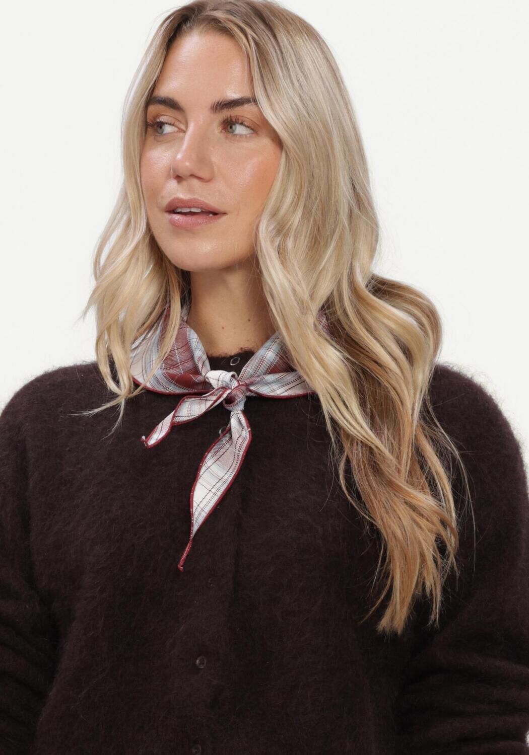 Bruine GESTUZ Vest GZDEBBIE CARDIGAN - large