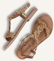 Bruine LAZAMANI Platte sandalen LA75029 Bruine LAZAMANI Platte sandalen LA75029 - medium