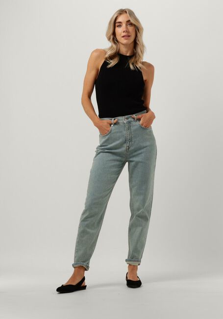 Blauwe SELECTED WOMEN Mom jeans SLFGRACE FELINA HW MOM GREENCAST JEANS - large