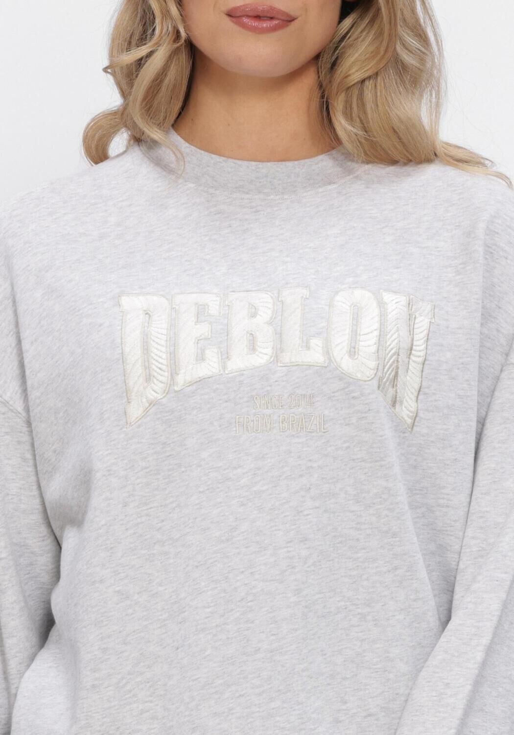 Lichtgrijze DEBLON SPORTS Sweater LIOR SWEATER - large