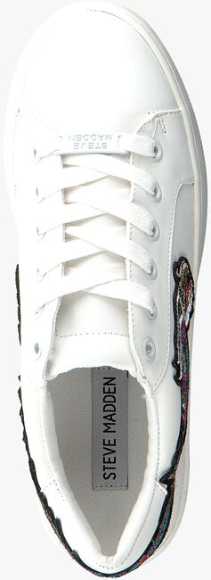 Witte STEVE MADDEN Sneakers BERTIE-D  - large