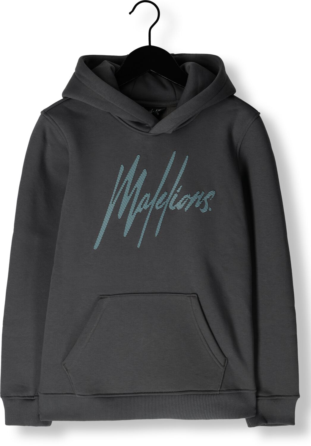 MALELIONS Jongens Truien & Vesten Signature Hoodie Grijs